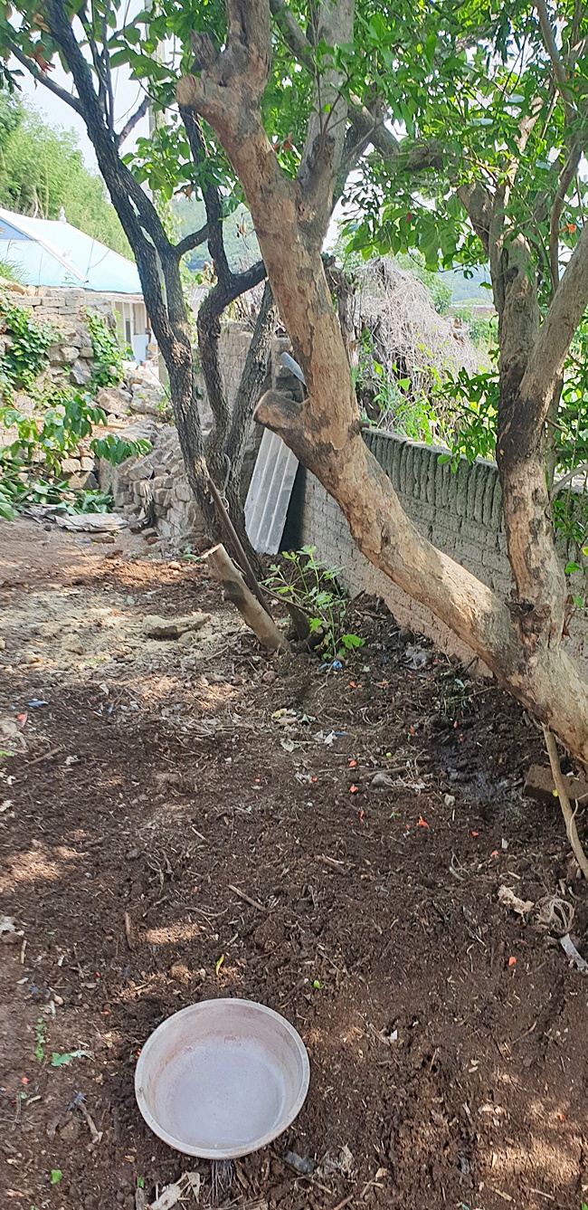 다처리 PC 이미지 572537