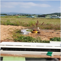 다처리 PC 갤러리 6