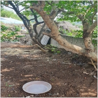 다처리 PC 갤러리 5